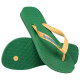 Havaianas Brasil Logo
